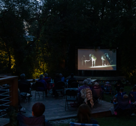 Une soirée aux jardins : cinéma en plein air